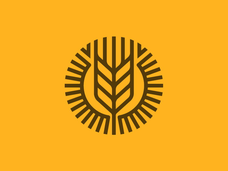 Brewery beer brewery growth optimism sun wheat