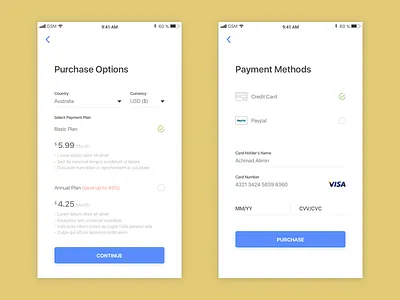 Purchase & Payment Options app credit debit mobile navigation payment paypal purchase ui ux visa