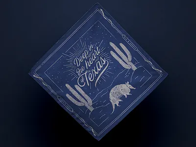 deep in the heart armadillo austin bandana cactus fjord night sky snake stars swag texas