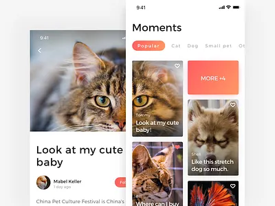 Moments page of Adoption App adoption app cat dog pet