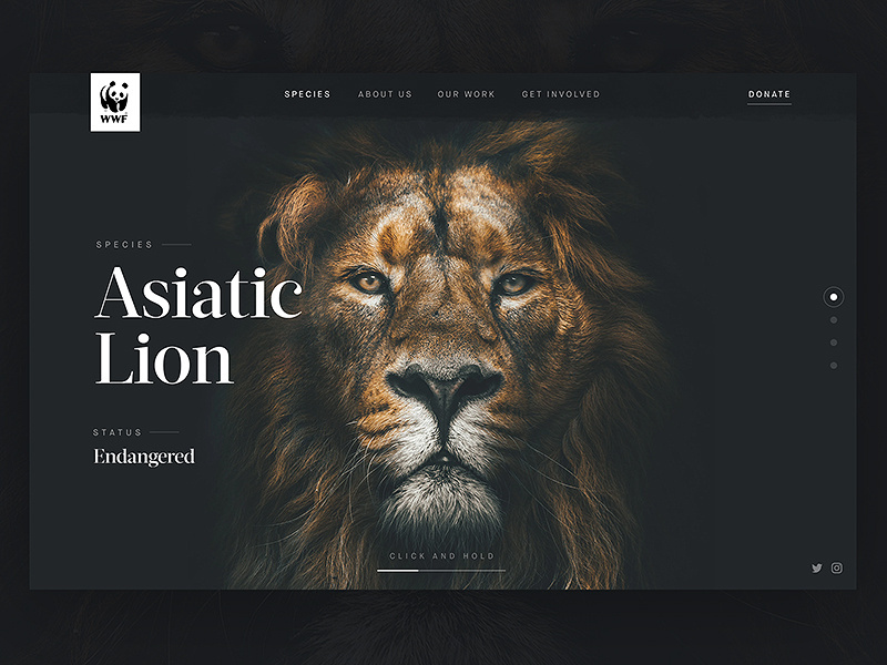 Example of WWF: Header Concept