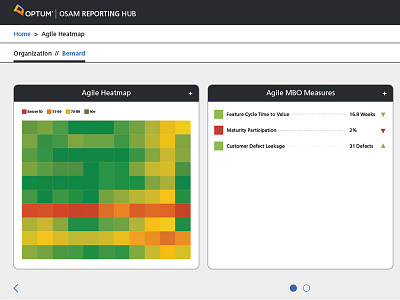 Osam (Optum Scalable Agile Method) Reporting Hub agile charts graphic design graphs healthcare reports software tableau user experience design user interface design uxui