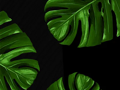 Palm Leaves botanical green illustration illustrator leaf leaves palm leaves palm trees plant