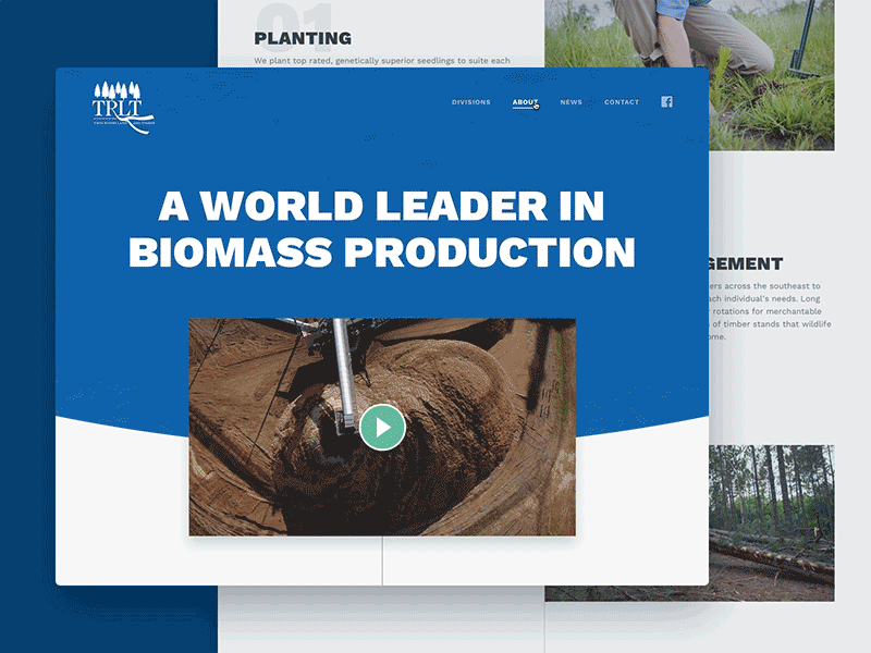 Twin Rivers Website UI blue homepage landing page principle timber timberland timeline trees ui video work sans