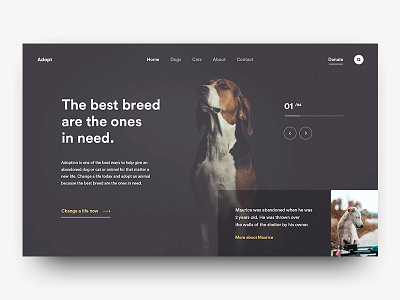 Adopt adopt animal cats design dog shelter ui ux