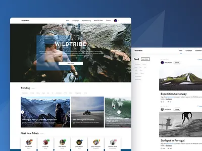 Tribe Website articles explore feed menu news people profile travel trend tribe