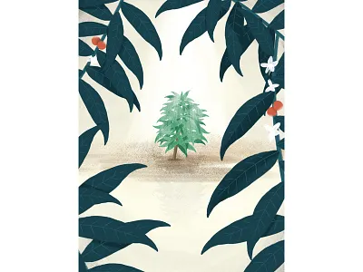 New Breed coffee leaf leaves plant