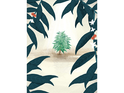 New Breed coffee leaf leaves plant