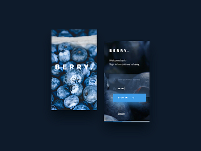Berry log in form app berry blue dark enter form login mobile signin ui ux