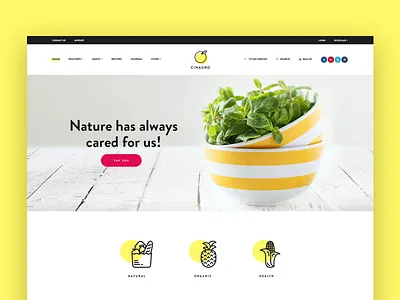Cinagro - Organic Food Shop Template clean colors design food shop minimal organic food products theme themeforest ui ux web