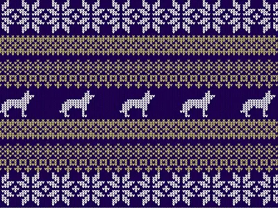 Washinton Knit apparel design hats huskies pattern product design washington zhats