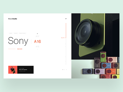 Muse Studio 4 interaction motiuon muse muse studio portfolio studio ui design ui motion