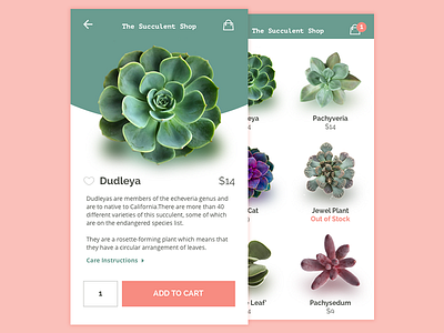 Daily UI 012 - E-commerce (Single Item) dailyui mobile plant product shop shopping succulent
