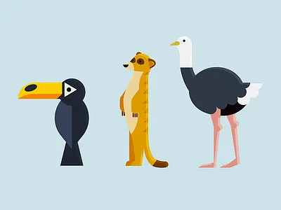 Wild Animals animals bear bird fox illustration lion monkey sloth squirrel