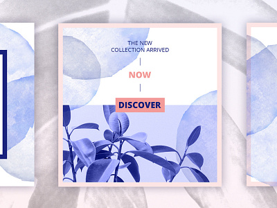 ANIMATED Instagram Posts – Bold animated animation bold gradient instagram media overlay post posts social template watercolor