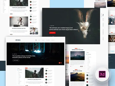 Freebie - 2 Blog Homepage blog freebie homepage landingpage xd