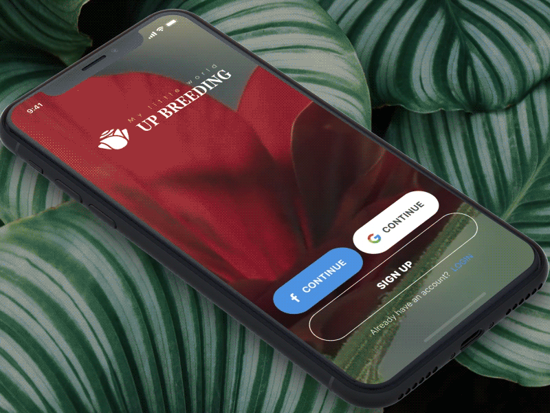 Blossom App Login animation blossom flower gif ios iphonex login mobile app motion plant xd
