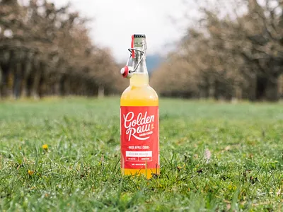 Golden Row Cider Bottle Label apple beer bottle branding cider hand lettering hard cider label logo logotype