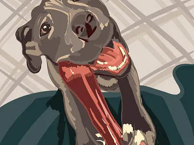 Adopt me. Franklin digital dog dogs pets