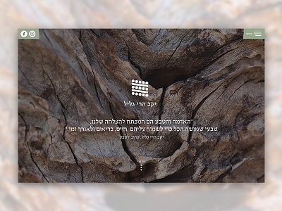 Galil Mountain Winery aniamtion design illustration illustrator nature photoshop responsive design ui ux wine