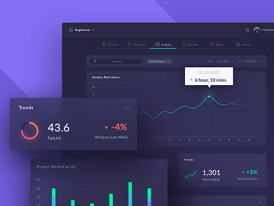 Statistics Control Panel Coder chart dashboard graph statistic stats