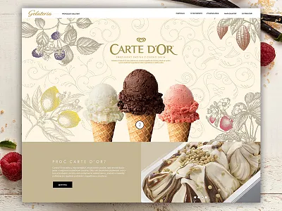 Carte d'or clean icecream inspiration modern ui ux web landing page webdesign