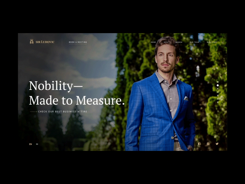Sir Ludovic ~ Homepage Animation homepage landing landing page landing page animation ui ui design web web animation web design