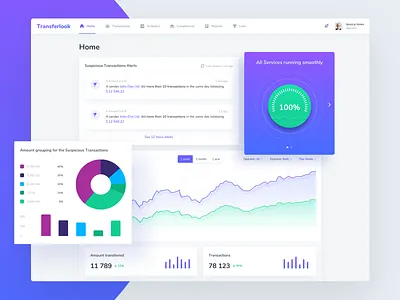 Money Laundering Detection Web Application alert amount chart dashboard detection graph laundry money remittance transfer