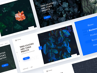 Web style to try web