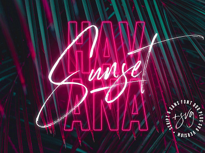 Havana Sunset Font Duo + SVG 80s blogger branding dry brush font font duo havana havana sunset font script stylish trendy tropical