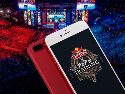 Redbull Training LOL Camp branding game lol promotion redbull training lol camp video web design xpeke