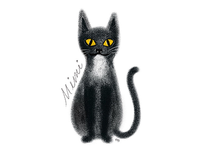 My cat cats design illustrations mimi pets