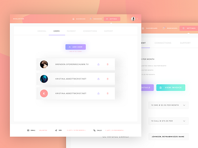 DebtorCollector - Setting Pages collector color debtor invoice light loan money payment user