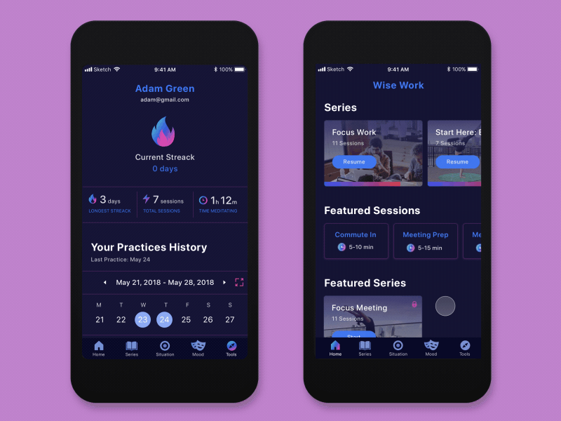 Wise Work animation app calendar dashboard feed ios lessons meditation profile sessions statistics tabbar