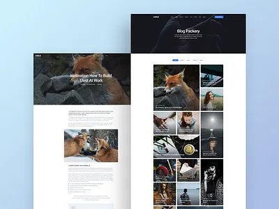 Packery Blog Style | Cesis WordPress Theme best wordpress theme blog blog style cesis blog cesis wordpress envato market packery blog theme wordpress themeforest tranmautritam wordpress theme wp theme