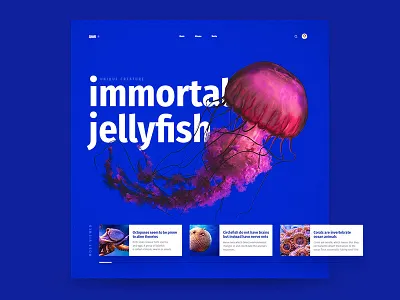 Square Grid Interface blue cards deep grid interface jellyfish slider ui