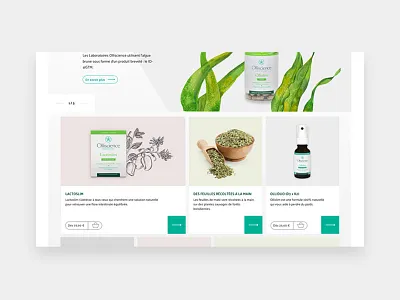 Olliscience ecommerce website . art direction design ecommerce ui website