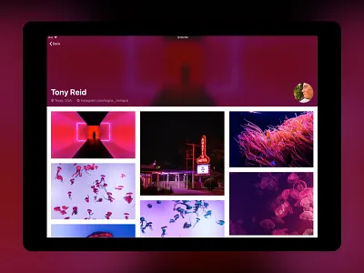 Profiles: Unsplash for iOS banner grid header photography photos profile unsplash user
