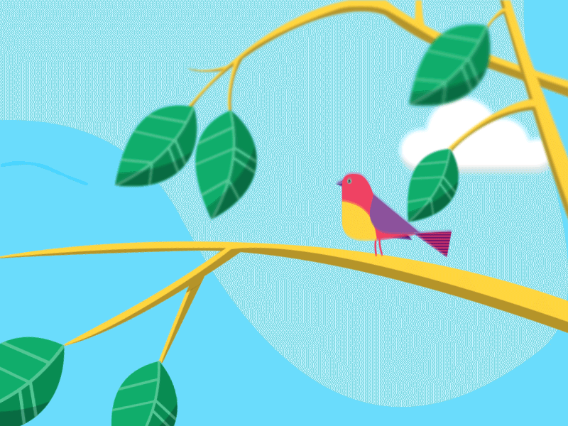 Chirpy Bird after effects animation bird cartoon character animation flat design minimal motion motion graphics nature