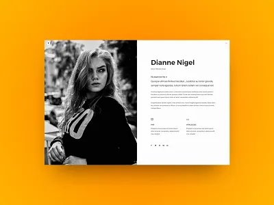 About The Team Page Set about creatus slider team wordpress