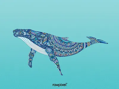 33 Whale adultcoloring blue colorpencil drawing graphic pantone tribe whale