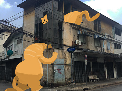 Sraycatmonster cat