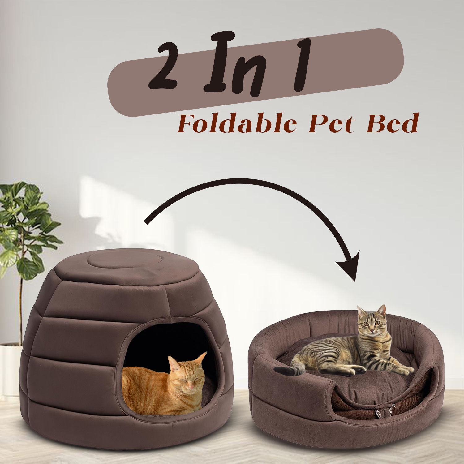 Example of Amazon Listing Design .Product Listing .