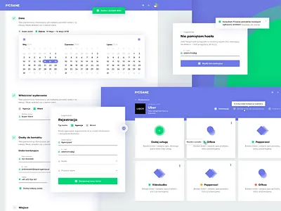 Picsane App adam app chro dashboard picsane ui ux