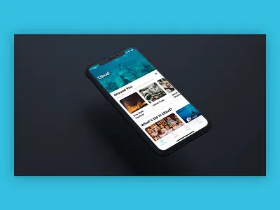 TEDxBudva Presentation - Digital Town app design ios local presentation talk ted