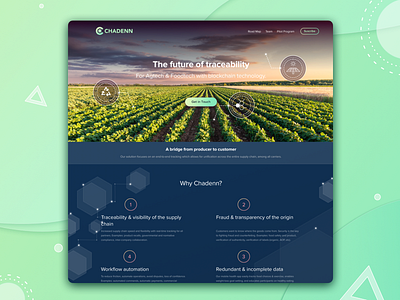 CHADENN agriculture blockchain blue dark food industry gradient home page team token vibrant web why