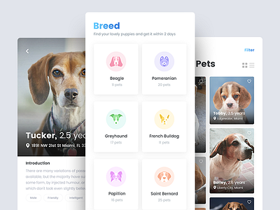 Pet Finder Mobile Application android breed dog ios location pet puppies