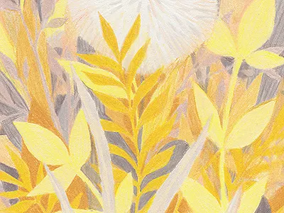 Trio: Yellow botanical colored pencil dandelion drawing illustration leaves nature plants traditional traditional media yellow