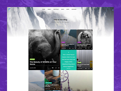 Blog Grid Element for Framed WP Theme blog color design element gradient grid image theme ui ux web wordpress