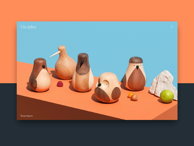 Photography Animation Experiment clean color flat gray interface orange photography principle teal ui ux white